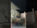Безопасная растяжка для шпагата | Хатха-йога #yoga #йога #шпагат #растяжка #шпагатбезболи