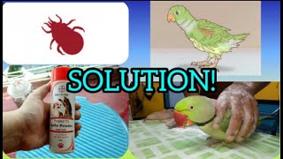 HOW TO TREAT BIRD LICE || EASY WAY TO KILL BLOOD MITES || SIMPLE INSTRUCTION AND DOSAGE screenshot 5