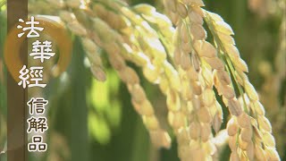【靜思妙蓮華】法華經信解品 - 持如來戒 如淨明珠 - 20210614 第854集