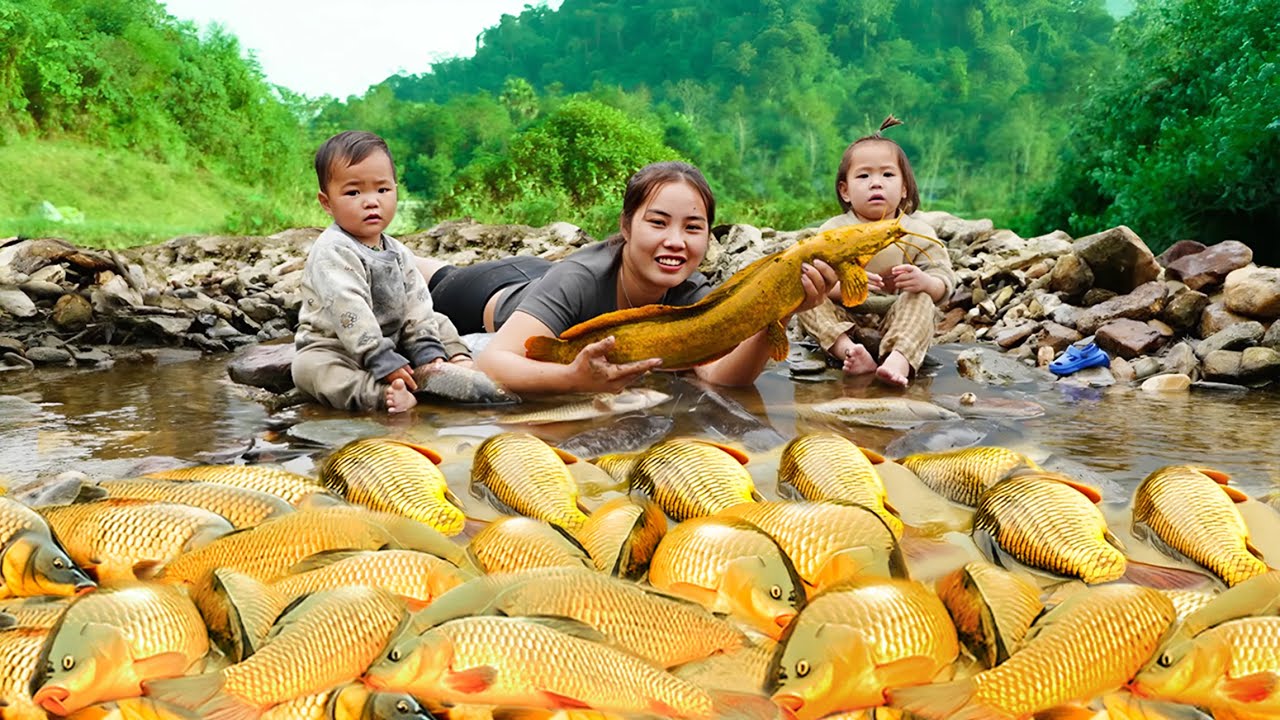 How to build Dam: Ms. Duong and the Kids' genius Plan to Catch a Giant Fish Shoal | Village Life