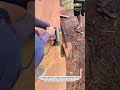 Straight Cut Wood Trick Using Circular Saw | Fast &amp; Accurate DIY Method
