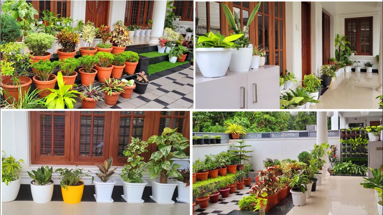 My Garden Tour Malayalam |Varieties of Plants| Subina Nishad |