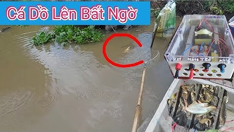 Thử Kích Cá Điện Tử 1 Vợt 16 Fét Lớn Đánh Thuyền Bao Cá Lên Đẹp Bảo Hành 8 Tháng
