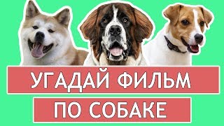 УГАДАЙ ФИЛЬМ ПО СОБАКЕ