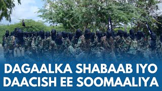 Bandhigga VOA: Xogta dagaalka Al-Shabaab iyo Daacishta Soomaaliya | VOA Somali