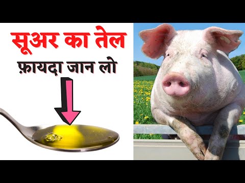 वीडियो: पकाने की विधि: सूअर का मांस पसलियों के साथ दम किया हुआ गोभी