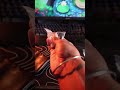 unboxing ASMR