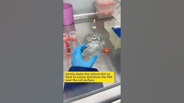 Cell culture medium exchange procedure#ciencia #lab #laboratorio #science #wissenschaft #наука#علوم