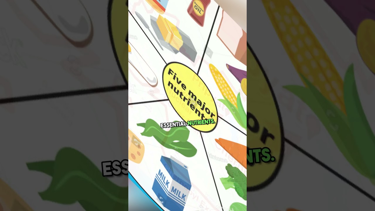 The Space Fungus That Eats Radiation! 🍄⚛️🌌