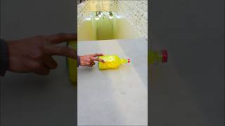 Yellow glass bottle!