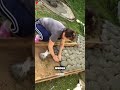 Turning Cement-Filled Plastic Bags into a Garden Path! #DIY #Cement #...