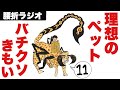 自粛が寂しいから理想のペット作りました。【話の腰を折るラジオ】#11