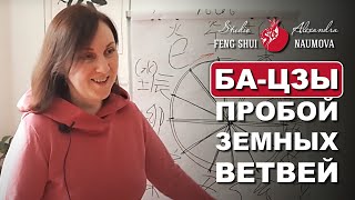 Пробой Земных Ветвей в Бацзы | Курс Ба-Цзы | Студия Фэн-Шуй Александры Наумовой