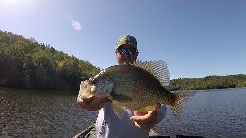 How to SEARCH for FALL CRAPPIE in STANDING TIMBER. CATCH SLABS!!