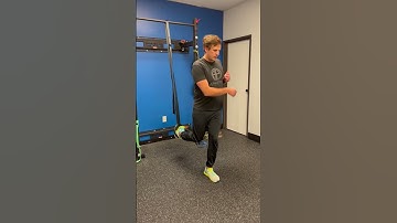 TRX Bulgarian Split Squat