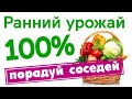 Ранний урожай. Порадуй соседей