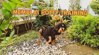 #26 Cara Melatih Anjing Tidak Pipis dan Poop Sembarangan | LUNA HAPPY FAMILY | Indonesia