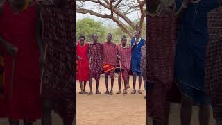Маасаи живут не так, как мы привыкли #traditionallife #tribal #shorts