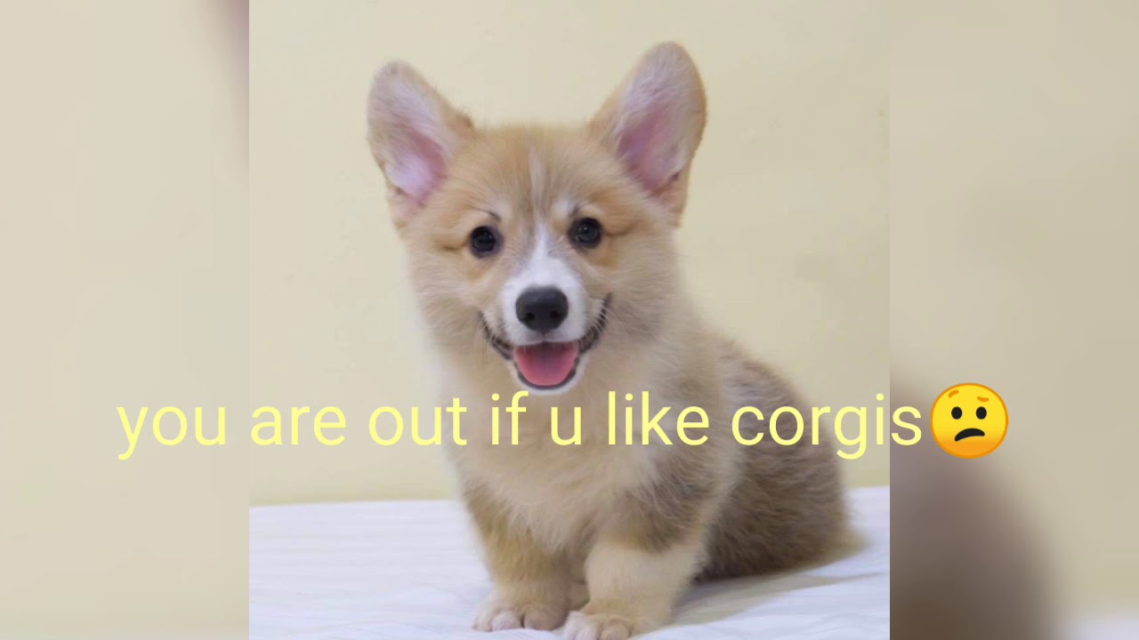 IN or OUT GAME! IMPOSSIBLE?!