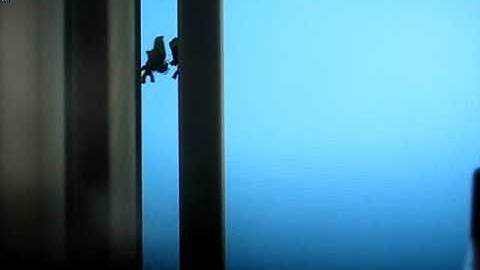 Little big planet 2 community glitch