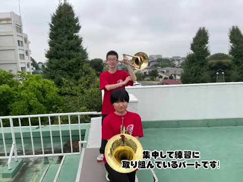 DISH//   猫