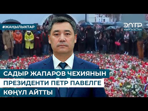 Video: Чехиянын президенти Милош Земан. Милош Земан: саясий ишмердүүлүк