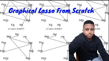 Programmation of Graphical LASSO From Scratch in R