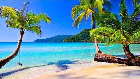 4k UHD Tropical Beach & Palm Trees on a Island, Ocean Sounds, Ocean Waves, White Noise for Sleeping. - DayDayNews