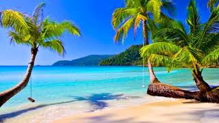 4K Uhd Tropical Beach Palm Trees On A Island Ocean Sounds Ocean Waves White Noise For Sleeping