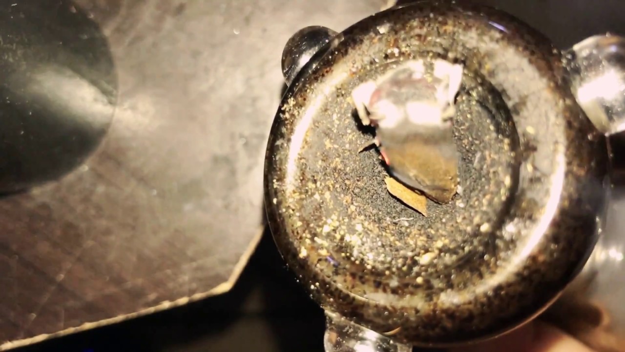 Blunt Roach Bong Rip