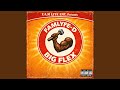 Big Flex mp3