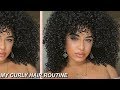 MY *UPDATED* CURLY HAIR ROUTINE | I used my FAVORITE curly hair products!