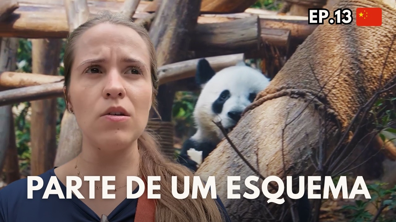 A ARMA SECRETA DA CHINA QUE CONQUISTOU O MUNDO