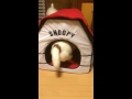 SNOOPY ハウス