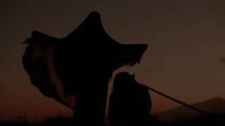 DEVIL'S TRAIN - "Ashes & Bones" (Teaser)