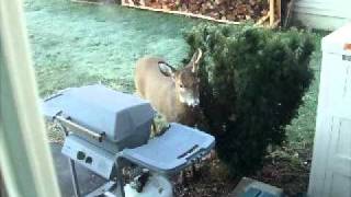 DSCF9815.AVI