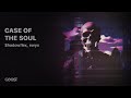 Hadowflex ewyx  case of the soul official audio