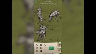 Tree Forest: Detective Words Level 49: Gameplay Solution