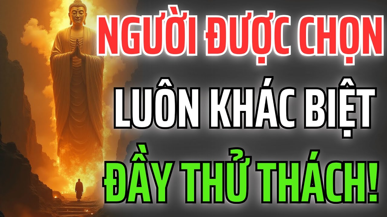 Người Được Trời Chọn – Vì Sao Cuộc Đời Họ Luôn Khác Biệt Và Đầy Thử Thách?