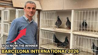 Barcelona International Racing Pigeon Race 2026 | Winner & Full Analysis