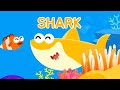Hide and Seek🦈 | Learn Numbers and Words with Sea Animals | Kids Play ★ TidiKids