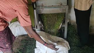Pepper processing machine 2