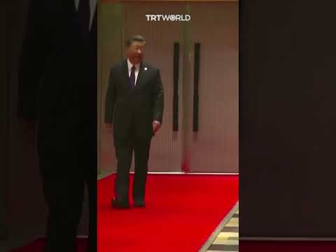 Chinese President's Aide Stopped From Entering Brics Summit Venue