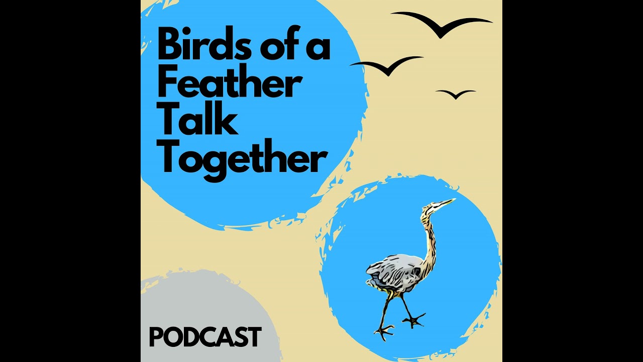 119: Spoon-billed Sandpiper - One Of The Rarest Birds On Earth - Story of Convergence
