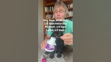Great OTC Remedy for Cat and Dog Constipation