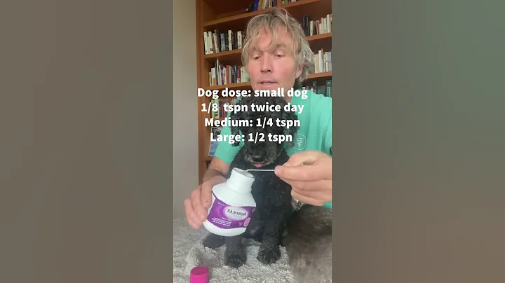 Great OTC Remedy for Cat and Dog Constipation