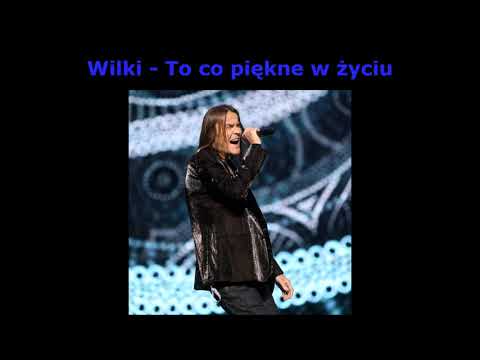 Wilki - To, co piękne w życiu