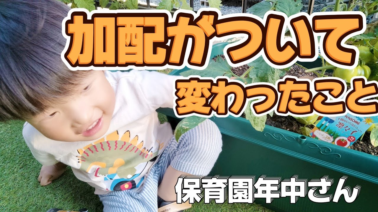 【加配】がついて4ヶ月経ちました。4歳発達障害&軽度知的、