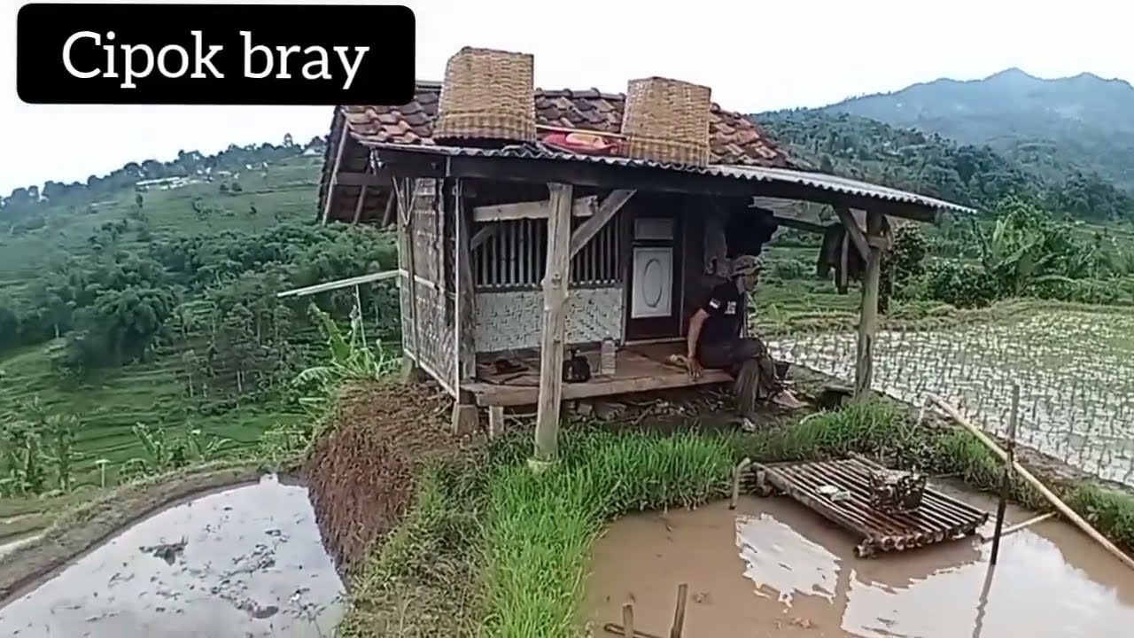 Explor Jalan jalan Sore di Pematang Sawah CIPOKBRAY CILIMUS JANG KUNG