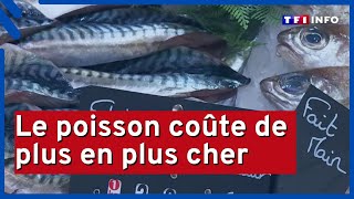 Le poisson coûte de plus en plus cher